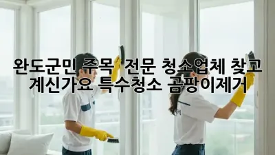 완도군민 주목! ✨ 전문 청소업체 찾고 계신가요? #특수청소 #곰팡이제거