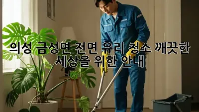 의성 금성면 전면 유리 청소: 깨끗한 세상을 위한 안내
